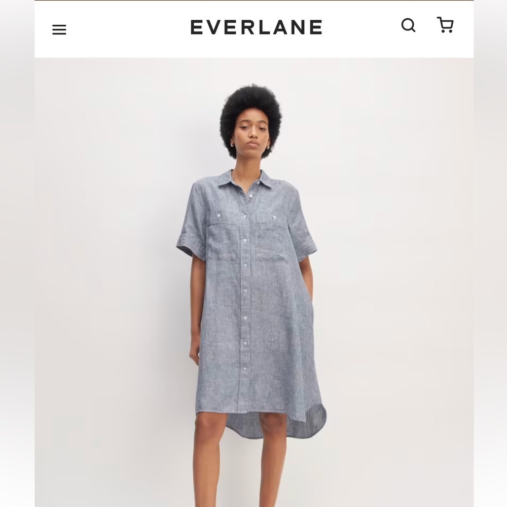 Everlane Linen Daytripper Shirtdress
